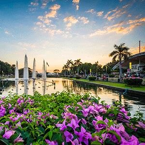 

Manila